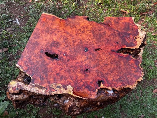 Amboyna Burl Slab for Craft and Hobby | Unique Cutting Board | Rare Item 2 - Etsy