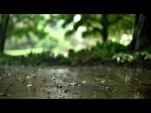 Cozy Rain | Sleep Deep Tonight