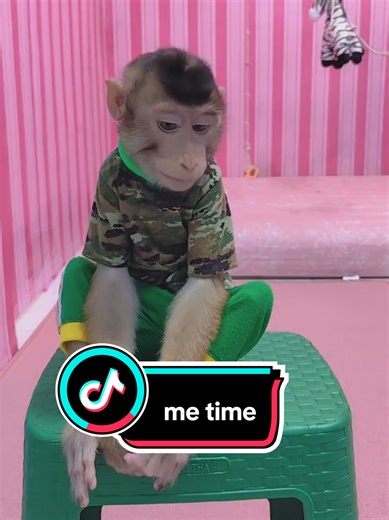 #tiktoklive #livehighlights | dobby