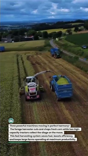 Triple Tractor Silage Harvest in Perfect Sync! 🚜🌽 #Farming #Harvest #TractorLife