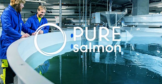 Pure Salmon Technology - pure-salmon.com