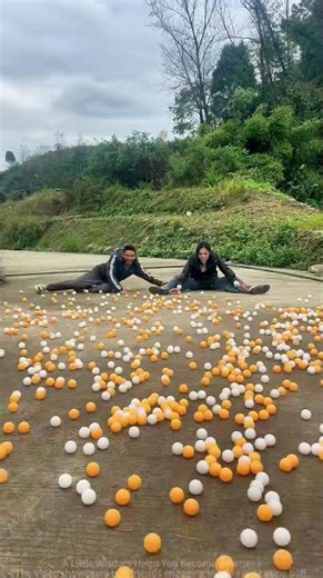 Toy Ball Challenge: From Standing to Lying Down, A Fun Moment for Two Friends!