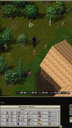 How to Become a Citizen and Get a City Buff #uoalive #ultimaonline