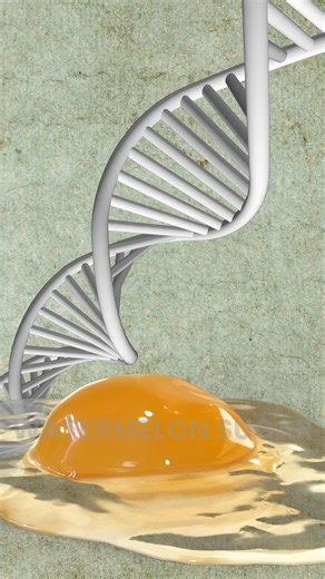 91K views · 2.2K reactions | Every Day an Egg: The Life-Changing Effects You Need to See! ? #food #loseweight #eggs #healthylifestyle | Watermelon Sugar | Facebook