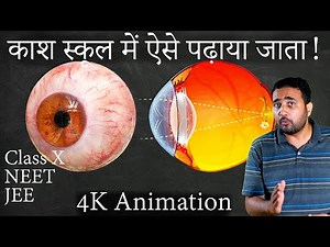 How does the eye work? Human eye and colorful world. CLASS X, NEET JEE 3d Animation.