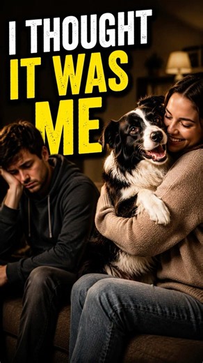 Does Your Dog Have A Favorite Person?