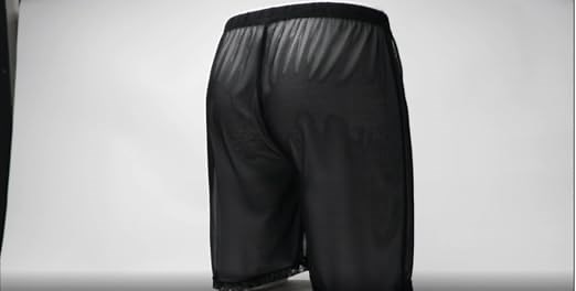 Men Sexy See Through Sheer Mesh Boxer Underwear Shorts