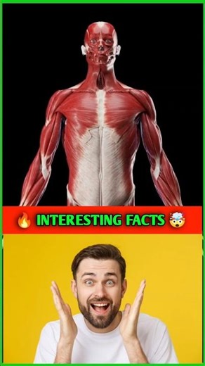 Random Facts That Are Surprisingly True! 🤔⚡ #Shorts