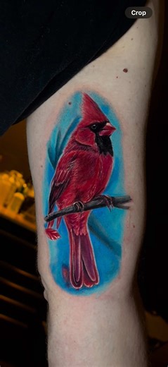 Color Tattoo: Sentimental Open Book Design