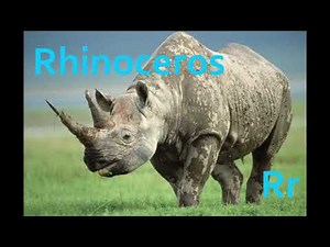 ABC Animal Alphabet Movie