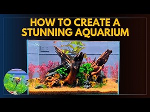 Aquascaping For ANGELFISH How To CREATE A STUNNING AQUARIUM