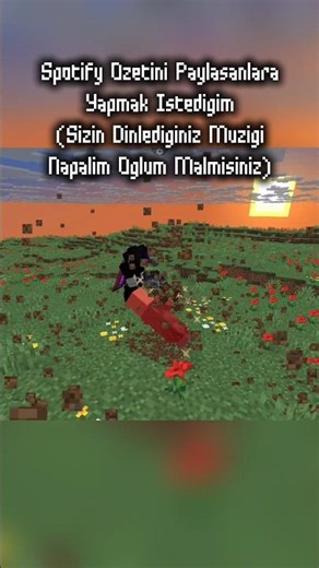 Minecraft Spotify Özetini Paylaşanlara Yapmak İstediğim
