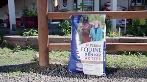 549 reactions · 262 shares | Winter is in full swing on the Purina farm. Do you know how to keep your senior horse healthy during these chilly months? Dr. Katie Young shares her advice in this video. | Purina Horse Feed | Facebook