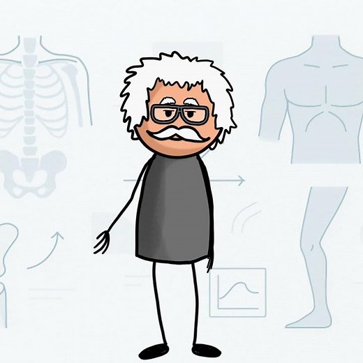 How Your Spinal Cord Controls Reflexes #SpinalCord #Reflexes #Neuroscience #HumanAnatomy