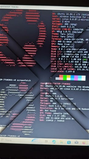 Windows? Нет, Linux 😎/Ubuntu 24.04 LTS в WSLscreenfetch + fastfetchминимализм, терминал, стиль