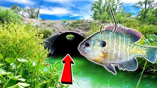 Caught tunnel monster bass fishing under road creates epic story