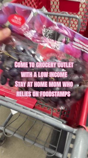 Navigating Grocery Outlet on a Low Income