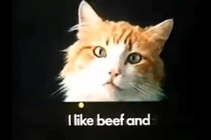 Who remembers this Meow Mix Advert from 1984? | Classic British TV