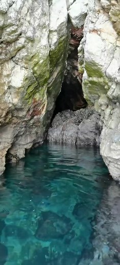 Joli.fouillis sur TikTok