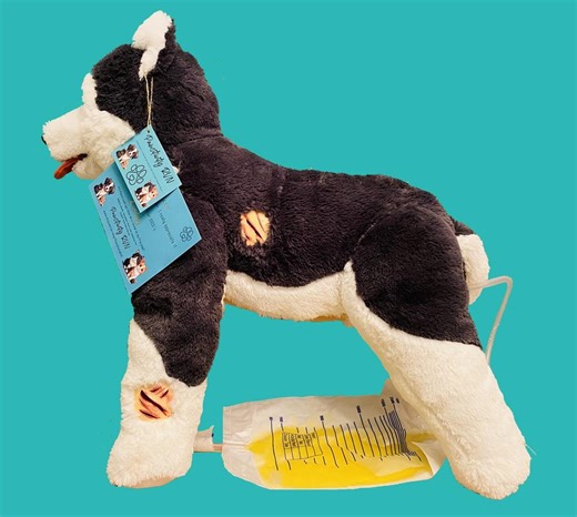 OSCE Dog: Veterinary Nurse Training Aid - Etsy UK