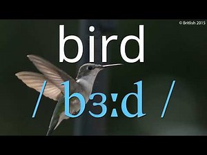 How to Pronounce Bird | Learn British English