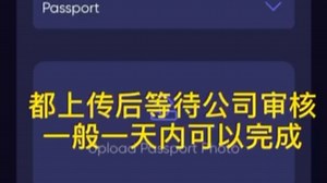 Crowd1系统操作怎么玩？瑞典系统