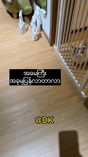 အကြံပြုထားသည့် အကောင့်များ