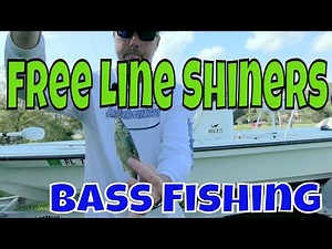 Florida Big Bass Fishing with Free Line Shiners