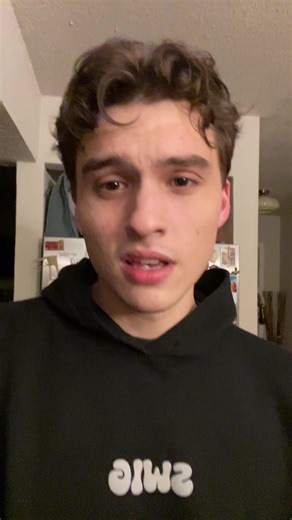 Funny Trolling Bird While Dog Sitting