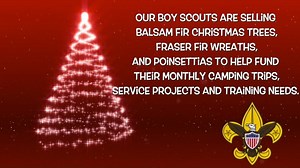 13 reactions | Boy Scout Christmas Tree Sales Only a few days left...