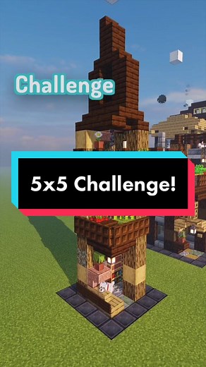 5x5 Minecraft House Challenge Build!