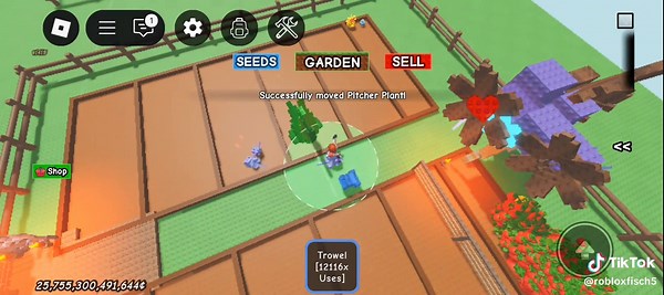 New Seed Method for Growing a Garden Effectively