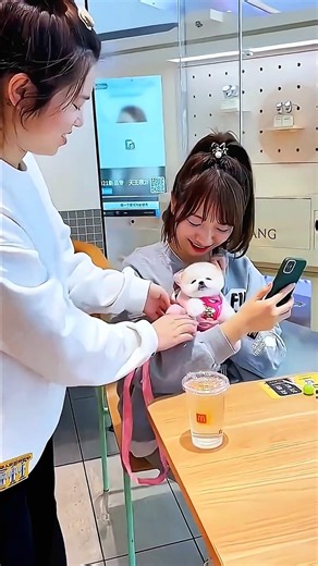 Pretty Little Puppies 😍 #puppy