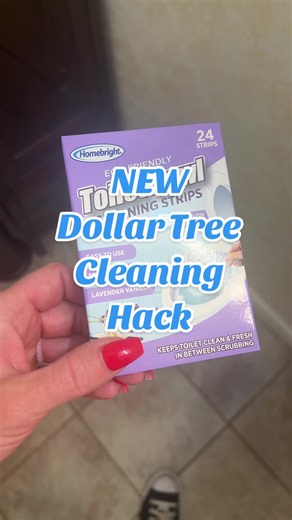Dollar Tree Cleaning Hacks for a Sparkling Home