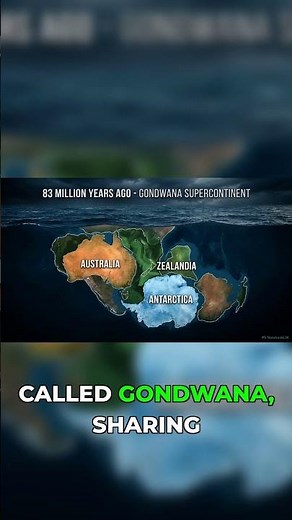 How the continents looked before they split 🌊 #geography #earth #science