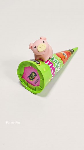 Funny Pig trên TikTok