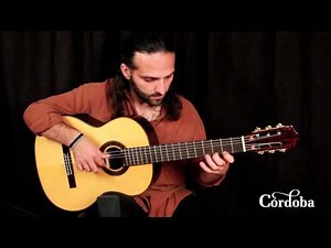 Cordoba Guitars - C7 Spruce
