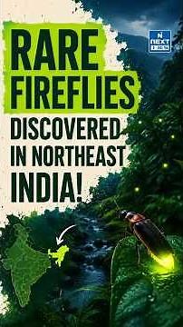 Rare Fireflies Discovered in Northeast India! | Meghalaya Discovery | UPSC | NEXT IAS