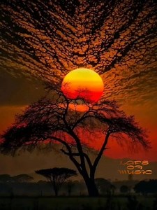 58K views · 2.1K reactions | Good Morning ♡ Sunset Boulevard - Charlie Robison | Laps of music | Facebook