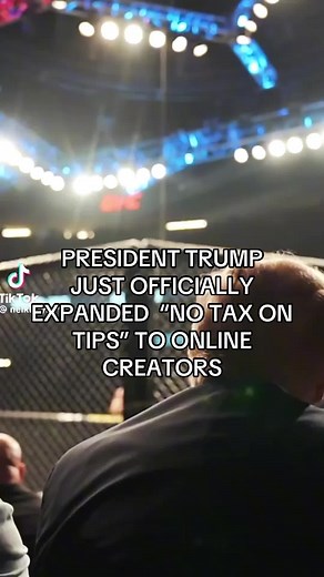 Addison Rae's MAGA Connection and Trump's New Tax Policy