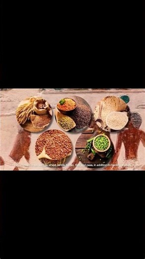 Irrigation vs Flood Farming Which Method Made Ancient Egypt Thrive?