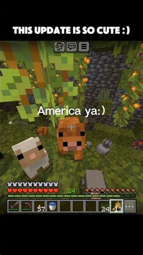 This Update Is Soo Cute #minecraft