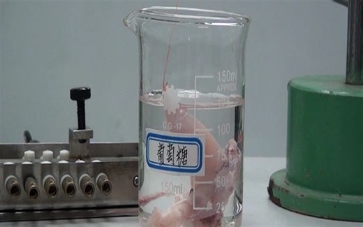 直接能源物质是ATP还是葡萄糖？-利用牛蛙腓肠肌进行实验