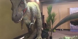 Discovery Science Place goes prehistoric with new dinosaur exhibit