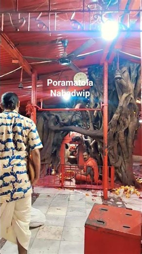 Porama Temple || Nabadwip #shorts #youtubeshorts