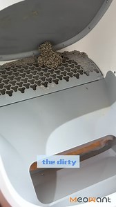 Meowant Prime Day 🎉🎉🎉 UP TO 50% OFF 🎁🎁🎁 Get EXTRA 50% off with code: PD50 | Meowant