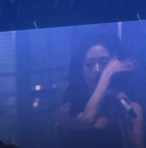 Her vocal tone just isn't pleasant to listen to and If she keeps forcing those high notes every time she sings, she could end up damaging her vocal cords, hope her fans tell her to stop that high notes