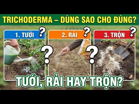 Trichoderma – Dùng Sao Cho Đúng? Tưới, Rải Hay Trộn