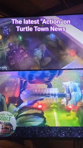 all the action on Turtle Town News #action #animals #relaxing #turtle #asmr