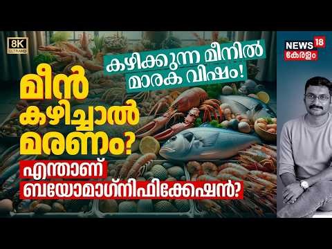 മീൻ കഴിച്ചാൽ മരണം? കഴിക്കുന്ന മീനിൽ മാരക വിഷം! What is Biomagnification? Fish Poisoning 8K|N18V
